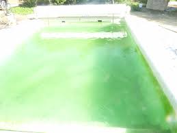 Piscine Gonflable Verte